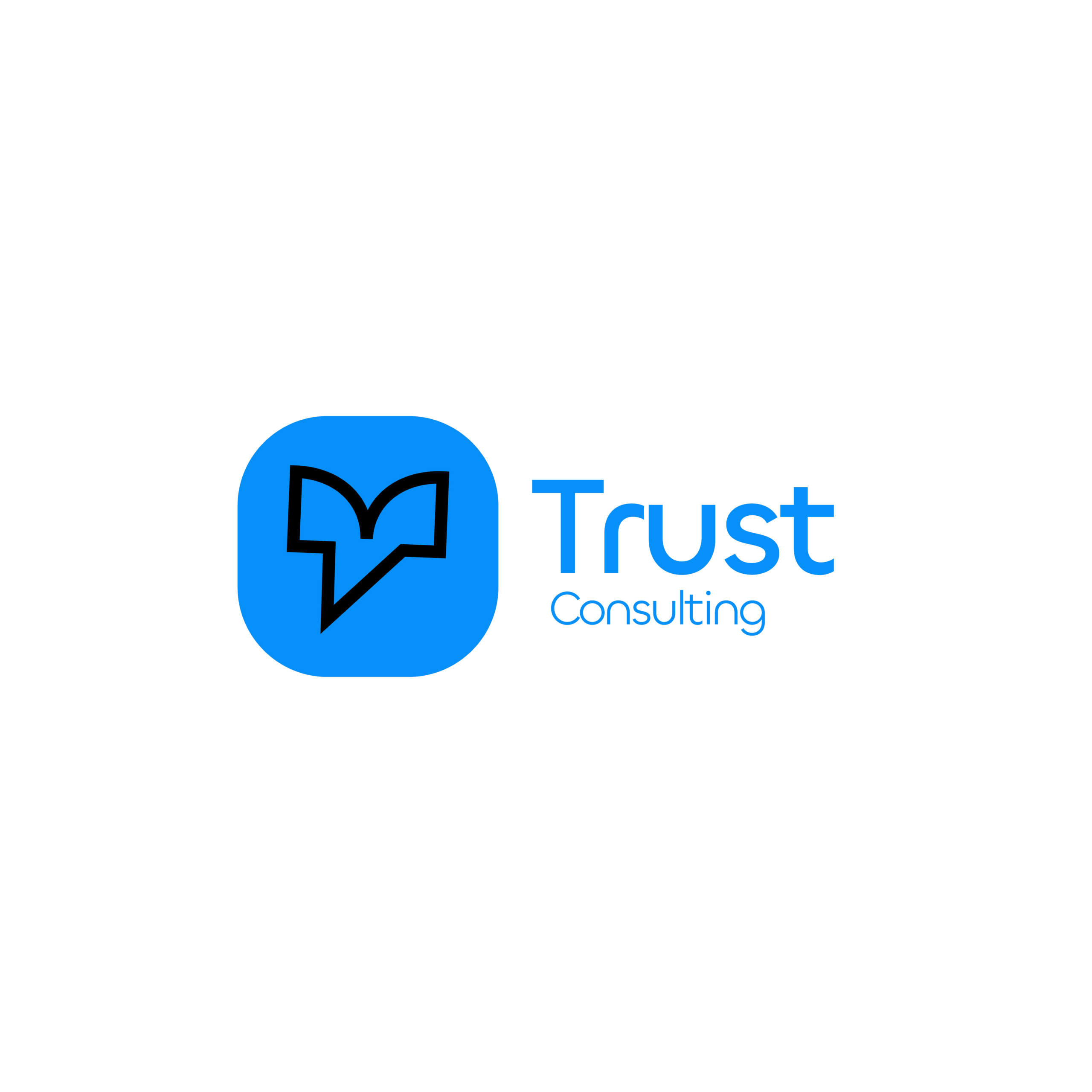 logo trust consulting site